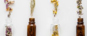Plantes aromatiques à huiles essentielles